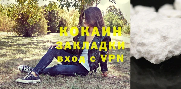 молекула духа Ростов